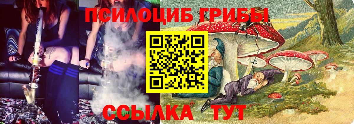 Галлюциногенные грибы MAGIC MUSHROOMS Лесозаводск